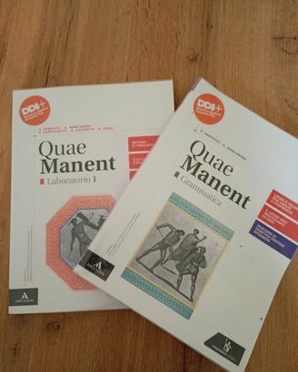 Latino liceo linguistico 