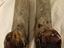 Immagine 3