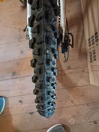 BICICLETTA  REBELLATO