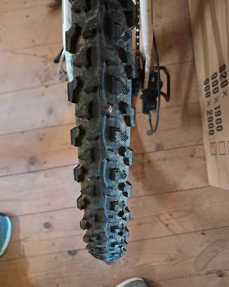 BICICLETTA  REBELLATO