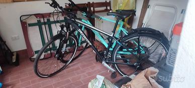 Biciclette Specialized e Bianchi