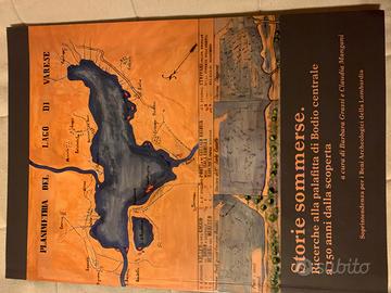 Storia delle palafitte di Bodio Lomnago