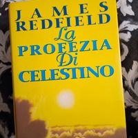 la profezia di Celestino 