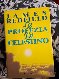 la profezia di Celestino 