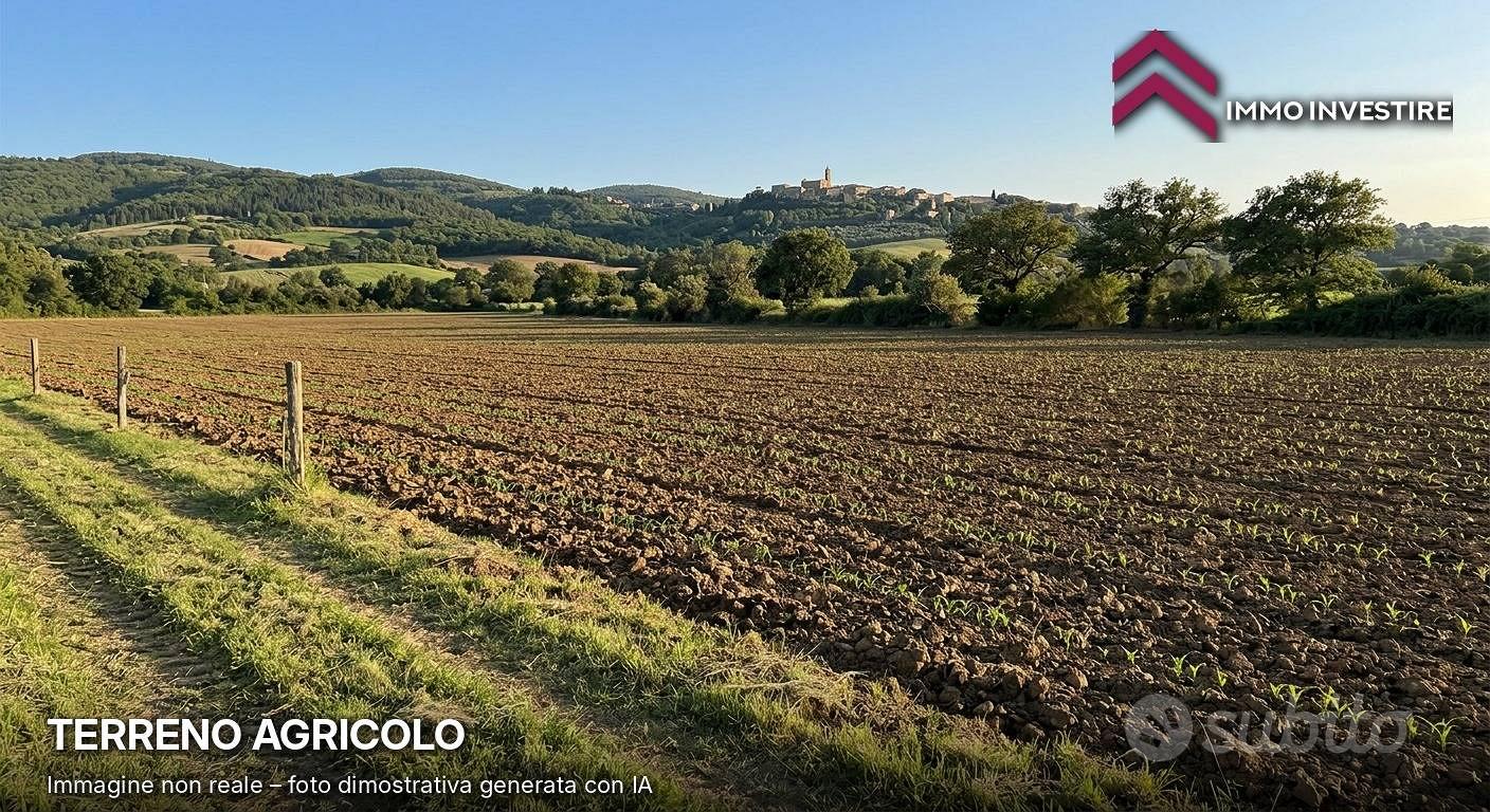 Terreno Agricolo - Torrita di Siena - Vista 3