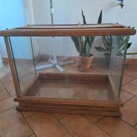 rettilario a vetri