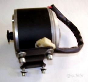 Motore 250 w 36v ccc