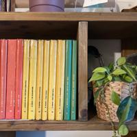 Galleria Grandi Romanzi per ragazzi anni 50