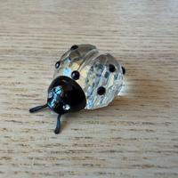 Swarovski coccinella