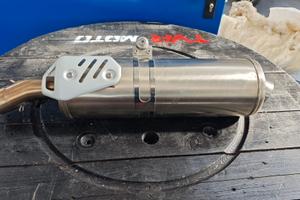 Scarico originale BMW F 800 R