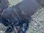 Immagine 4