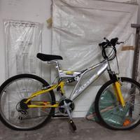 Bicicletta TopBike Donna