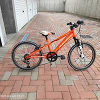 bici da 20 