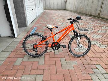 bici da 20 