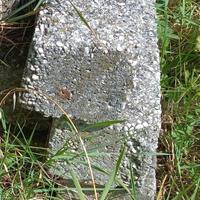 Pali di cemento per testate dei filari