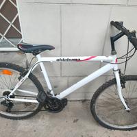 Bicicletta mountain bike