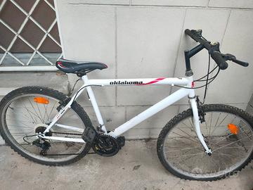 Bicicletta mountain bike