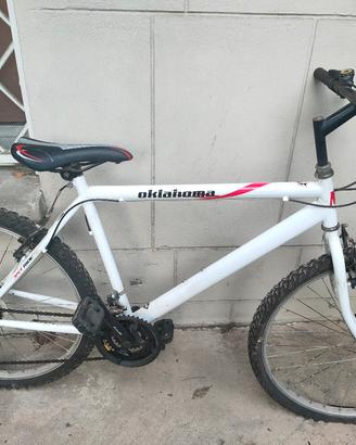Bicicletta mountain bike