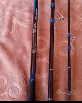 Canne da surf casting 