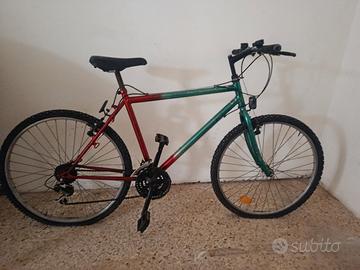 biciclette 24'