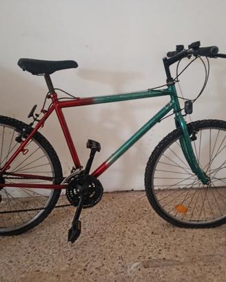 biciclette 24'