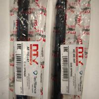 Ammortizzatori vano bagagli Mini R60