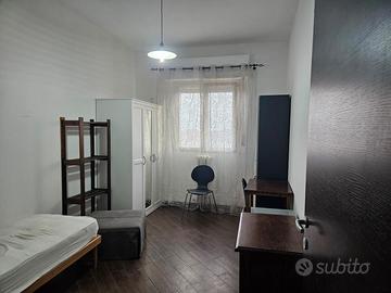 Studenti universitari