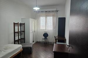 Studenti universitari