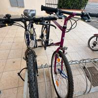 bici Mountain bike BAS e Giant 