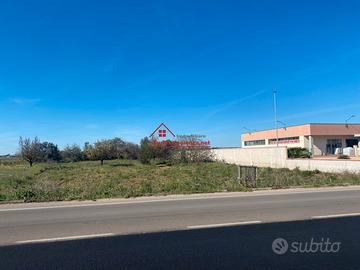 Terreno di 2639 mq con progetto approvato