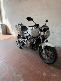 Honda hornet