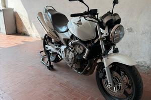 Honda hornet