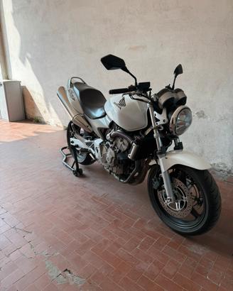 Honda hornet