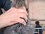 Immagine 5