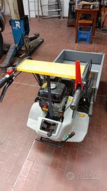Motocarriola cingolata