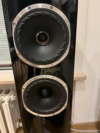 Diffusori fyne audio F501 SP
