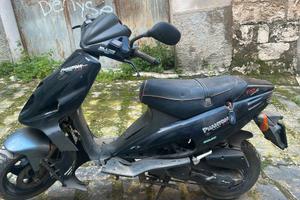 Malaguti f12 Phantom 100 