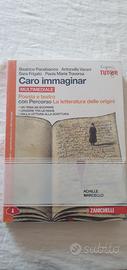 Libro Caro immaginar (poesia e teatro)