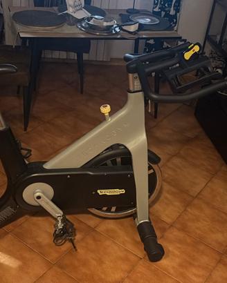 BIKE PROFESSIONALE DA PALESTRA TECHNOGYM