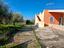 Immagine 29