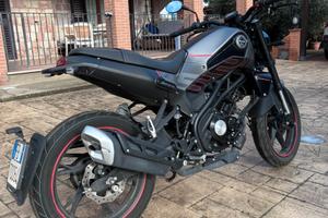 Splendida LEONCINO 125