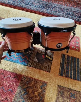 bongo 