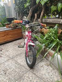 Bicicletta bambin*