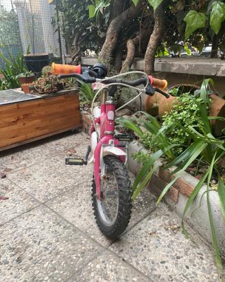 Bicicletta bambin*