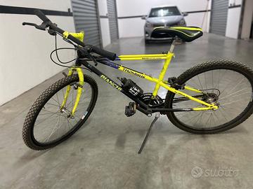 bici Bianchi Ragno Thomisus,