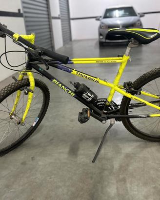 bici Bianchi Ragno Thomisus,