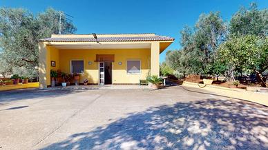 VILLA SINGOLA A FRANCAVILLA FONTANA