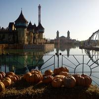 Ripetizioni economia aziendale 15 ora