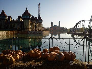 Ripetizioni economia aziendale 15 ora