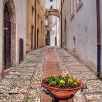 Chicca centro storico Spoleto